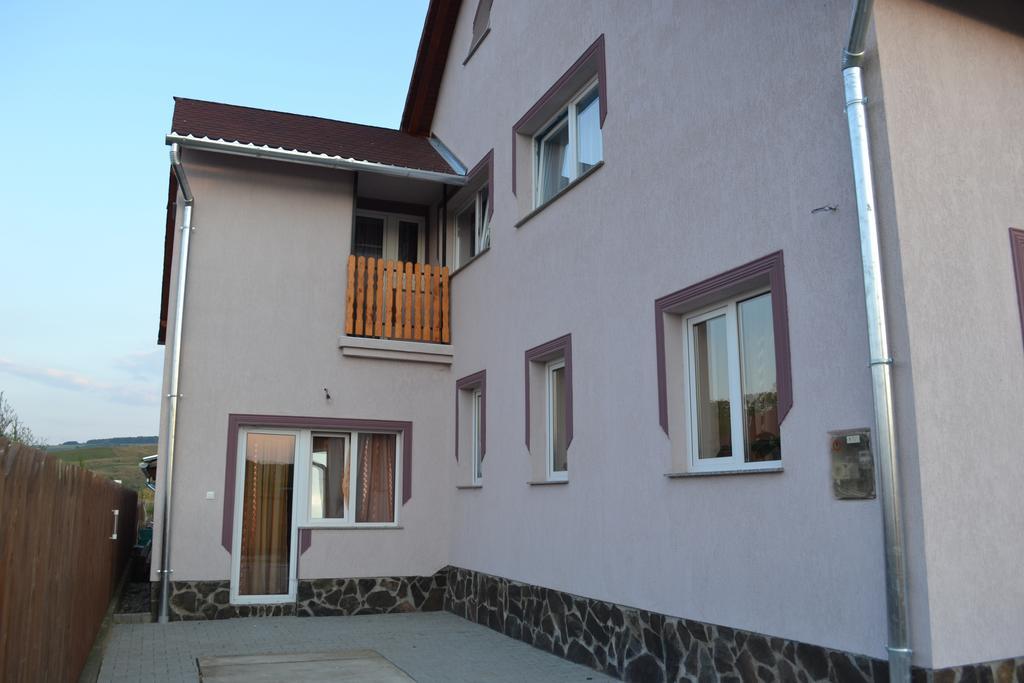 Ersa Panzio Hotel Bisericani  Buitenkant foto