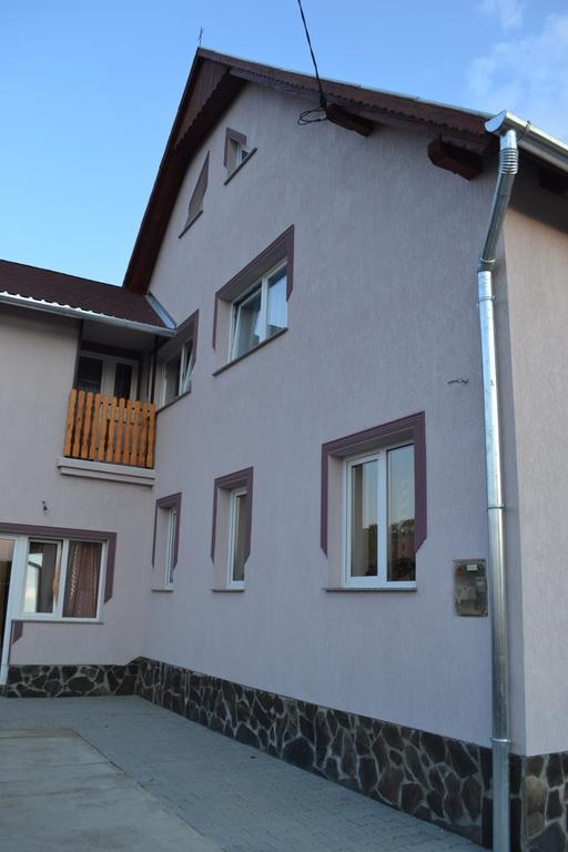 Ersa Panzio Hotel Bisericani  Buitenkant foto