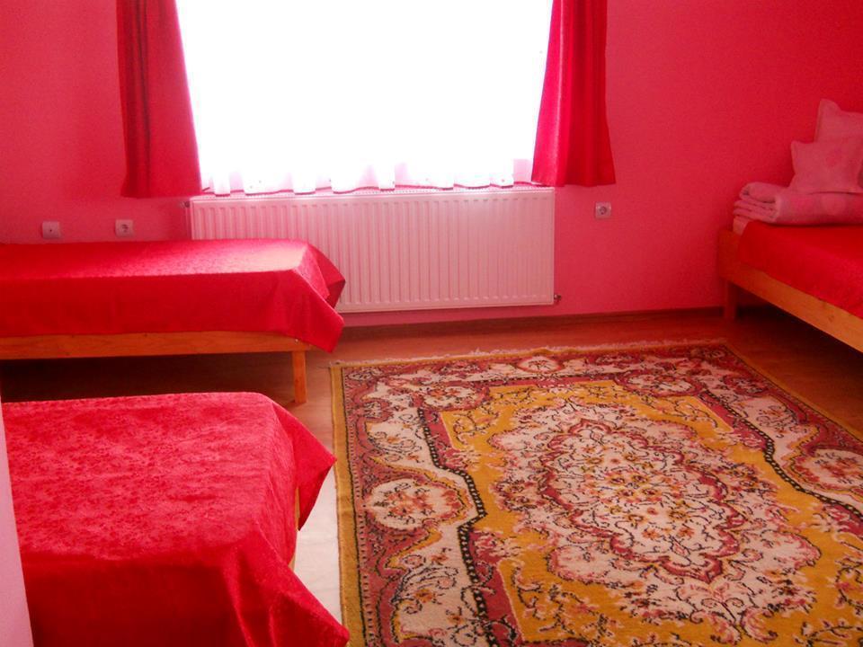Ersa Panzio Hotel Bisericani  Kamer foto