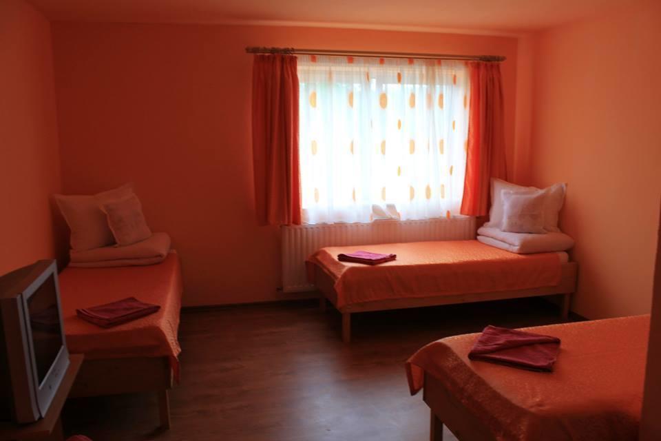 Ersa Panzio Hotel Bisericani  Kamer foto
