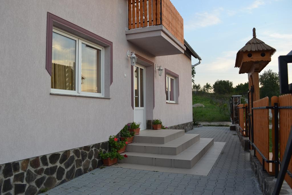 Ersa Panzio Hotel Bisericani  Buitenkant foto