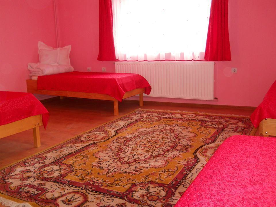 Ersa Panzio Hotel Bisericani  Buitenkant foto